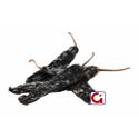 Chile Seco Pasilla