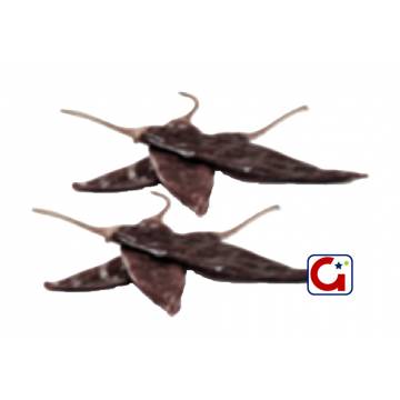 Chile Seco Guajillo