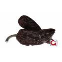 Chile Morita