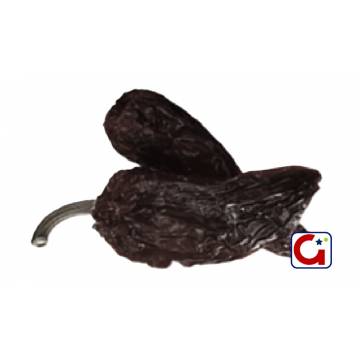 Chile Morita