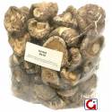 Shitake - Hongo Oriental