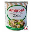 Escargots - Ambrosía