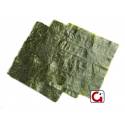 Algas Nori Green - 100 Hojas